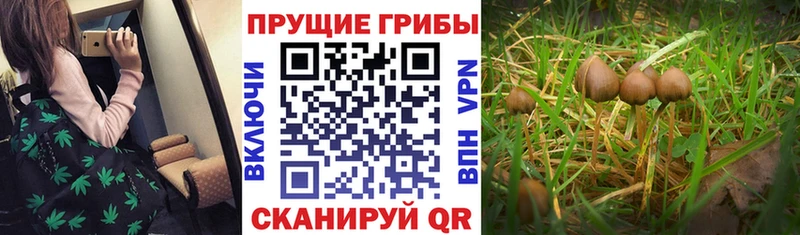 что такое наркотик  Смоленск  Галлюциногенные грибы MAGIC MUSHROOMS 